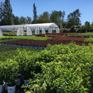 Around the Nursery